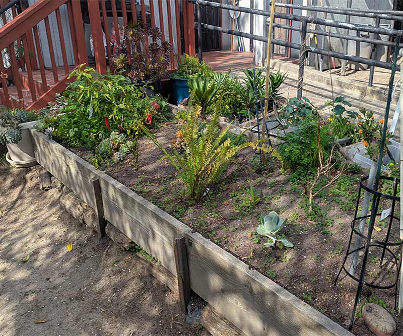 residential perinatal garden