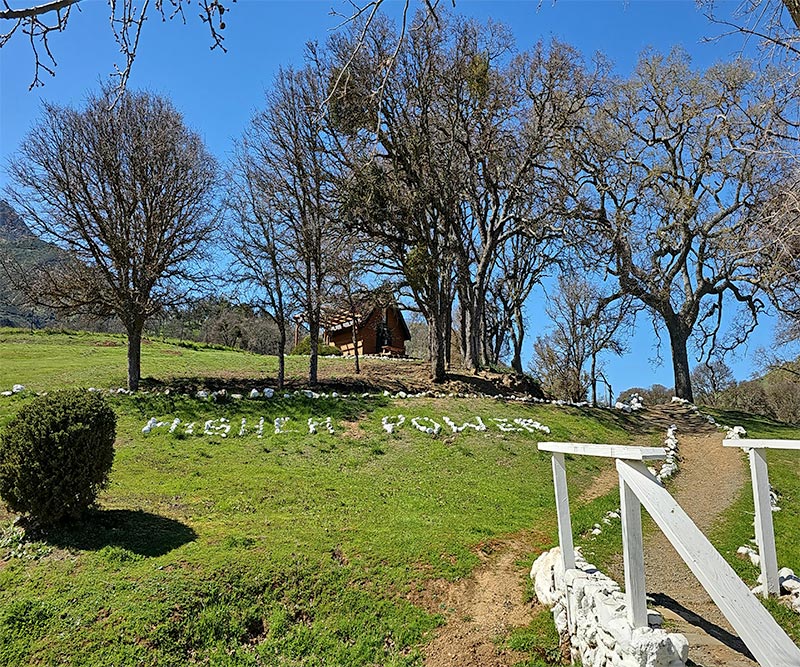 higher power spelled out with rocks in a green and grassy environment