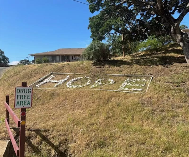 A sign reading "Drug Free Area" in front of "HOPE" spelled out using rocks on the grass