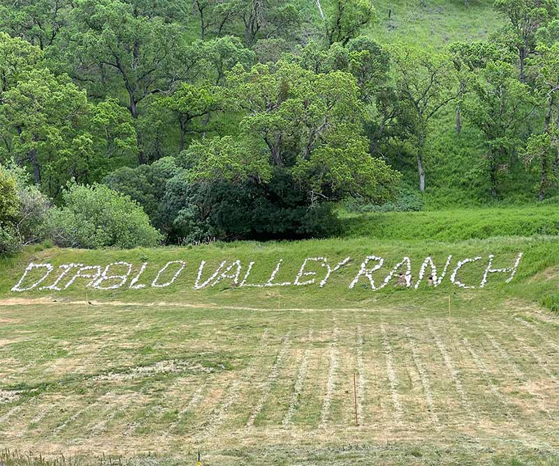 Diablo Valley Ranch spelled out on a large plot of grass using light colored rocks